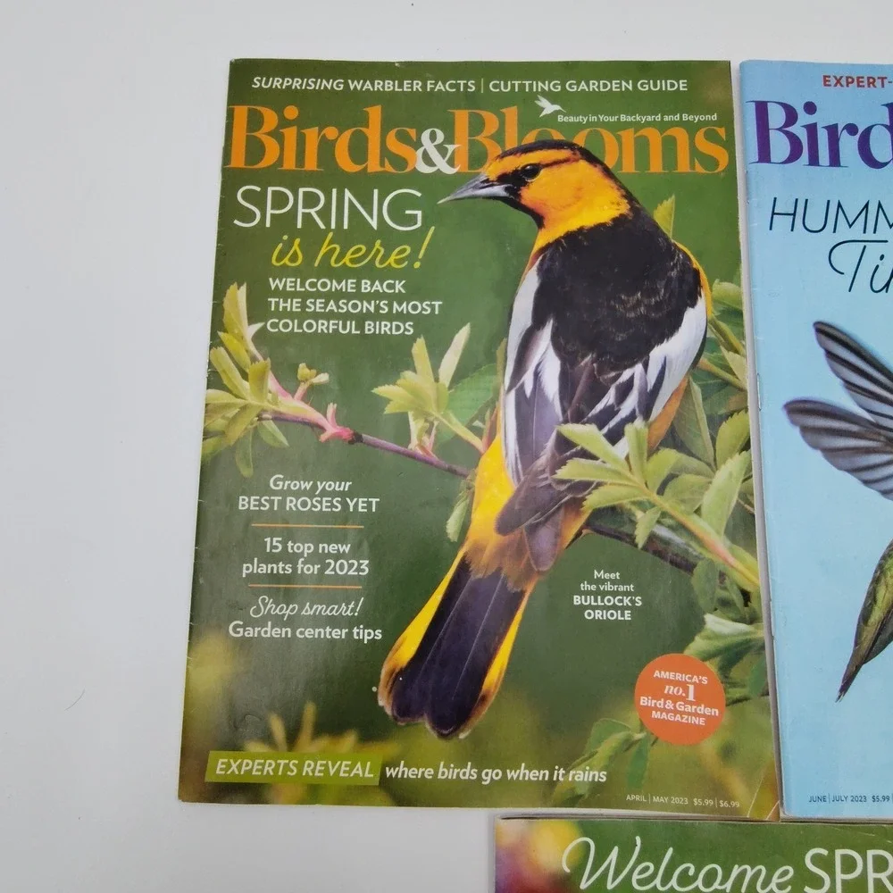 N/A ✅🐦🪻🏵️lot birds